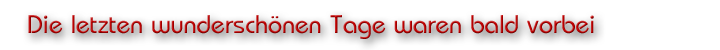 Die letzten glücklichen Tage waren bald vorbei