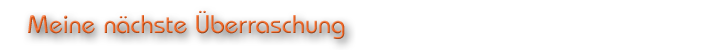 Meine nächste Überraschung
