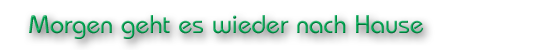 Morgen geht es wieder nach Hause