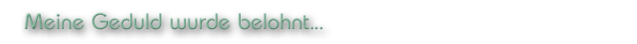 Meine Geduld wurde belohnt
